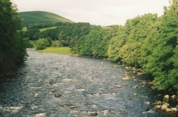 Scan22.jpg
